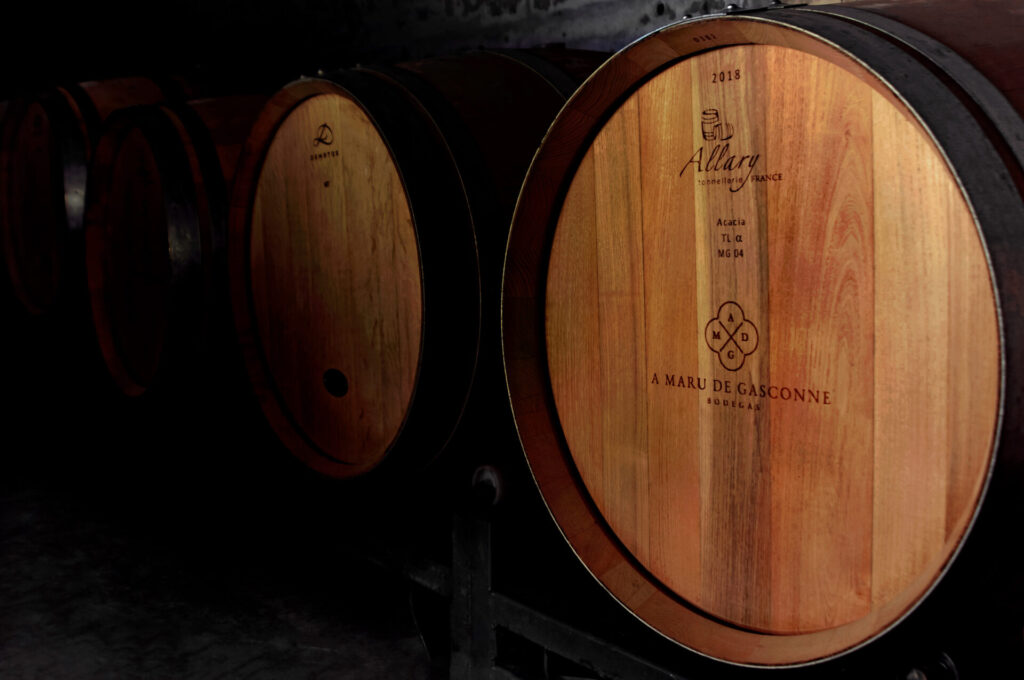 Viñedos de A Maru de Gasconne en el Matarraña, Teruel