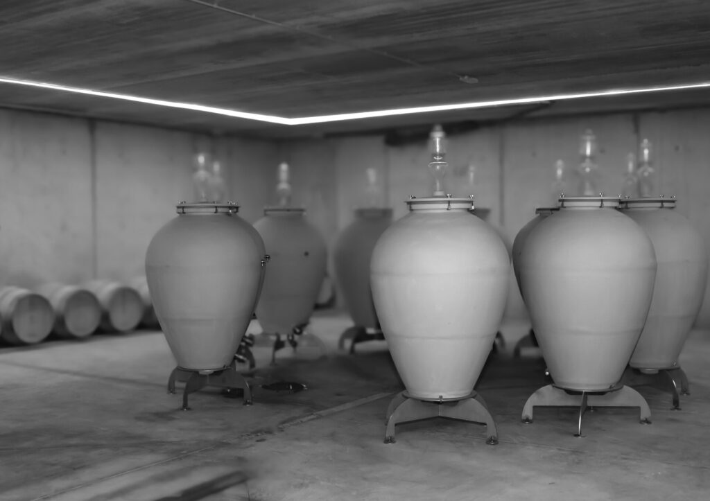 Visita a la bodega A Maru de Gasconne en el Matarraña